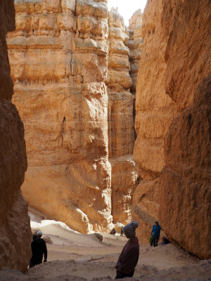 The switchbacks on Wall Street, Navajo Trail, Bryce Canyon NP