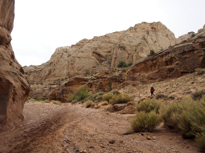 Taking her own path in the Grand Wash in Capitol Reef National Park