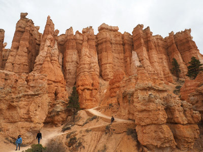 On the floor of the canyon amidst the hoodoos at Bryce NP