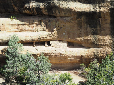 A granary in a cliff side at Mesa Verde NP