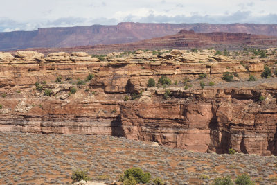 Needles District, Canyonlands NP - View from the slickrock trail