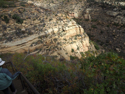 View into the canyon on the trail to Step House cliff dwelling in Mesa Verde NP