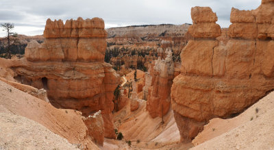 Panorama (Best viewed in ORIGINAL size) - Descending into Bryce Canyon on the Queen's Garden trail