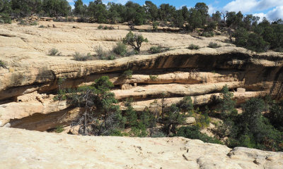 Granaries in a cliff side at Mesa Verde NP