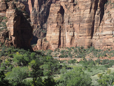 Zion NP - The shuttle bus in the valley beneath the towering cliffs