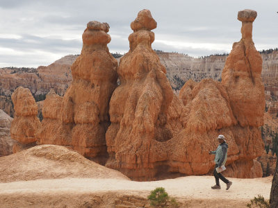 On the way into Bryce Canyon on the Queen's Garden trail