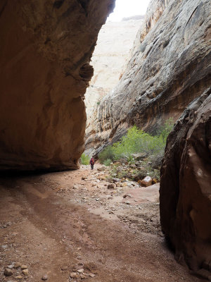 Hiking the Grand Wash in Capitol Reef National Park