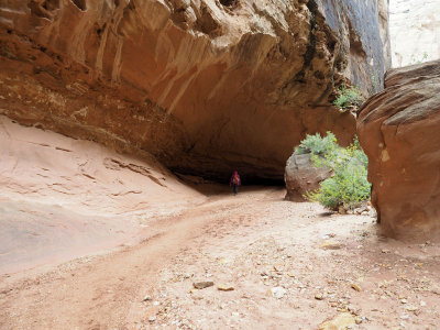 Carved by water in the Grand Wash in Capitol Reef National Park