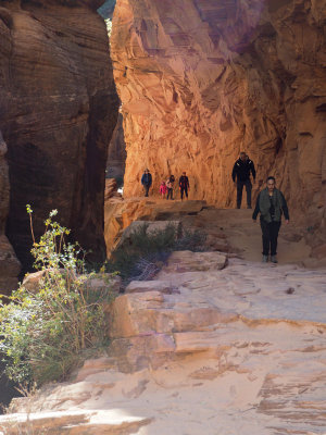 Zion NP - In the area of Echo Canyon on the East Rim trail