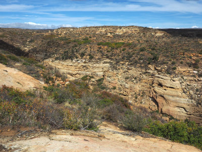 A view into the canyon in front of Step House Cliff Dwelling - Mesa Verde NP