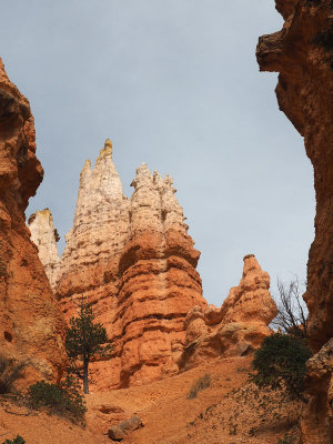 Bryce Canyon - Hoodoos seen  from the bottom of the canyon