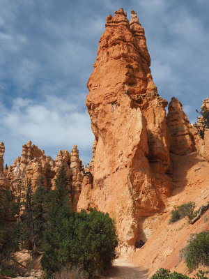 In the canyon in Bryce Canyon NP