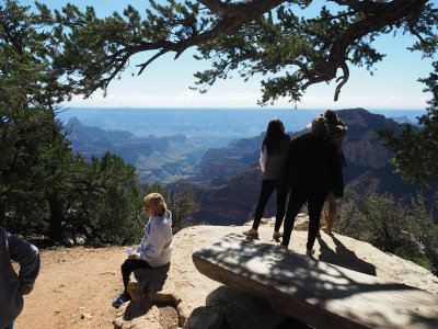 From Bright Angel Trail, North Rim, Grand Canyon