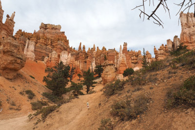 On the bottom of the canyon at Bryce Canyon NP