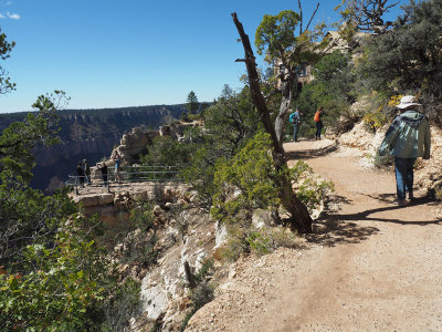 On the Transept trail leaving Bright Angel Point, North Rim, Grand Canyon