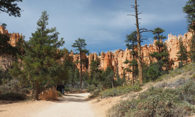 At the bottom of Bryce Canyon