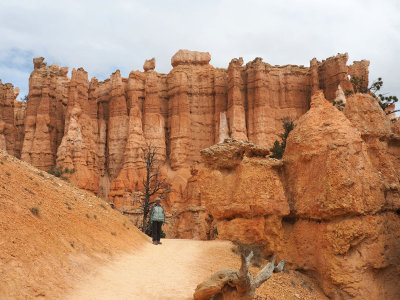 On the floor of the canyon amidst the hoodoos at Bryce NP