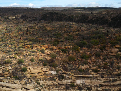 Mesa Verde NP landscape