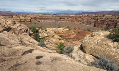 Needles District, Canyonlands NP - View from the slickrock trail