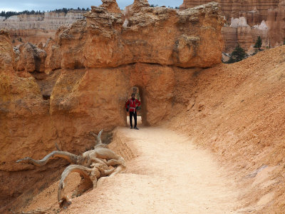 Bryce canyon bottom - Queen's Garden trail cuts through the rock