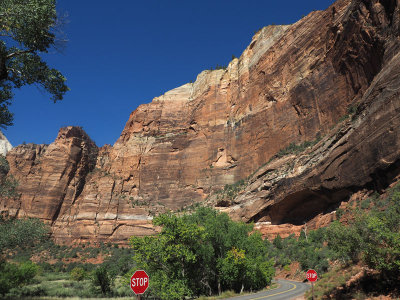 Zion NP - View from shuttle stop for Eas Rim Trail