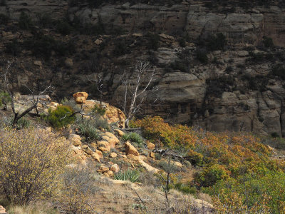 Shadow and light and colors at Mesa Verde NP