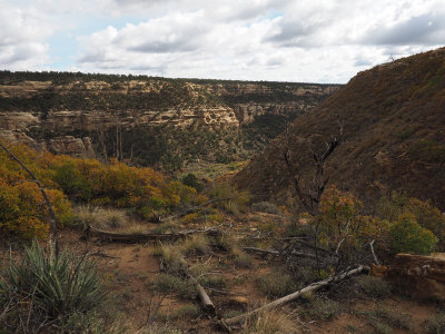 After leaving Step House Cliff Dwelling - Mesa Verde NP
