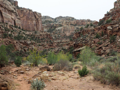 Walking in the Grand Wash in Capitol Reef National Park
