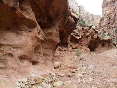 Rock formations formed by flowing water - Capitol Reef NP