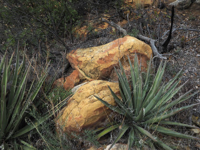 The color of the rock in the canyon - Mesa Verde NP