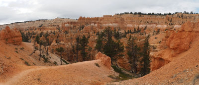 Panorama (Best viewed in ORIGINAL size) - On the way to the bottom of Bryce Canyon