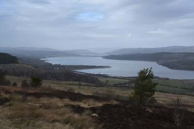 Dornoch Firth view