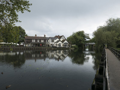 Fish and Eels Inn