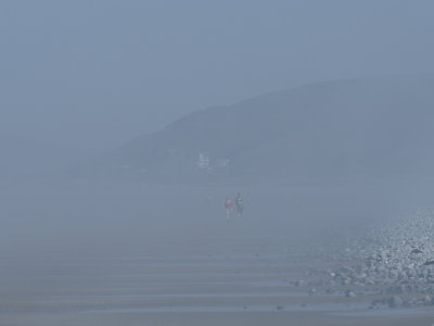 Walking along the beach at Ynyslas with a sea mist blowing in...