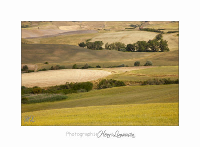  05 2017 A IMG_8302 Toscane Campagne .jpg