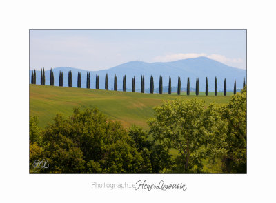  05 2017 B IMG_7918 Toscane campagne .jpg