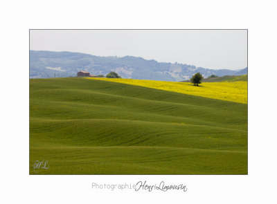  05 2017 B IMG_7952 Toscane campagne .jpg