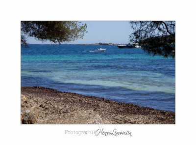  05 2017 H IMG_7545 Ile Ste Margueri .jpg