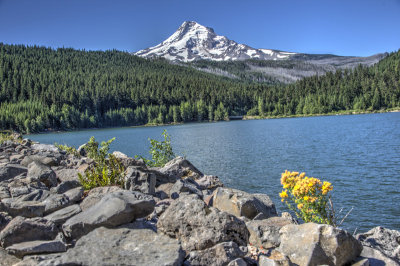 _JMR2019_20_21_tonemapped.jpg