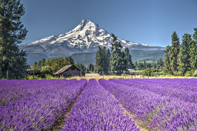 _JMR2065_6_7_tonemapped.jpg