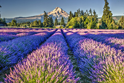 _JMR2289_90_91_tonemapped.jpg