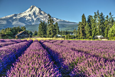 _JMR2385_6_7_tonemapped.jpg
