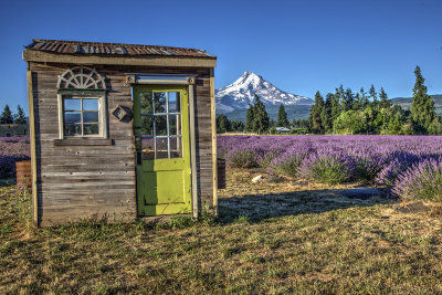 _JMR2442_3_4_tonemapped.jpg