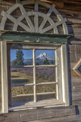 _JMR2457_8_9_tonemapped.jpg