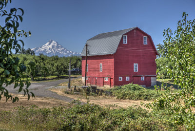 _JMR2747_8_9_tonemapped.jpg
