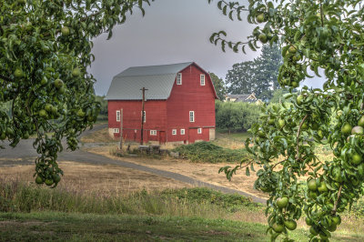 _JMR2836_7_8_tonemapped.jpg