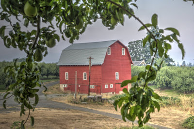 _JMR2871_2_3_tonemapped.jpg