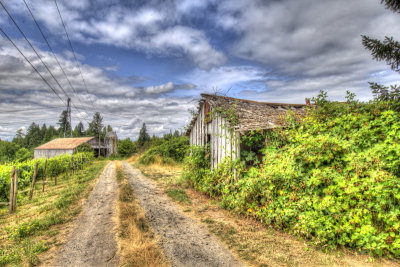 _JMR8631_2_3_tonemapped.jpg