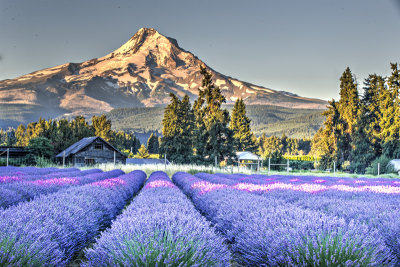 _JMR8756_7_8_tonemapped.jpg