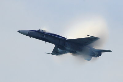 McDonnell Douglas CF-188 Hornet